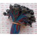 4 Pin Wire To Wire SM Female Connector (2517)